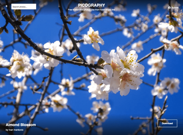 uisdc-website-201610313